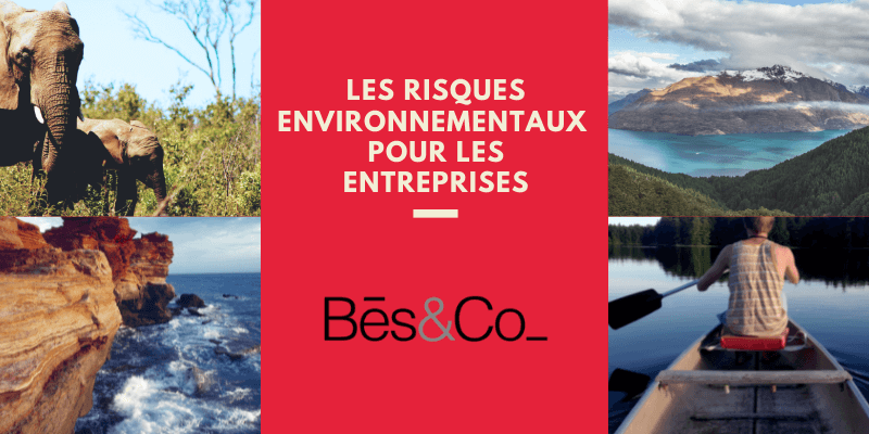 Les risques environnementaux pour les entreprises